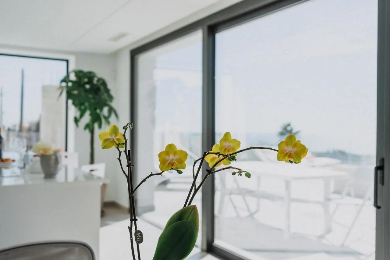 Villa Thetis Camemi Apartment